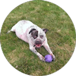 Profile photo of Andrew Heinz