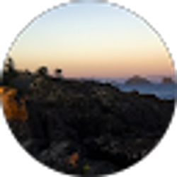 Profile photo of John Rossi