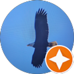 Profile photo of otis embree