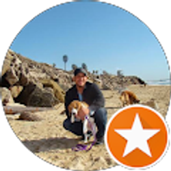 Profile photo of Angel Sanchez