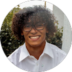 Profile photo of raul largaespada