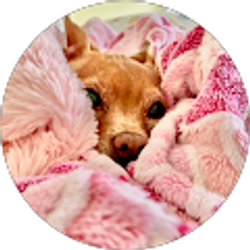 Profile photo of Maleah Reading