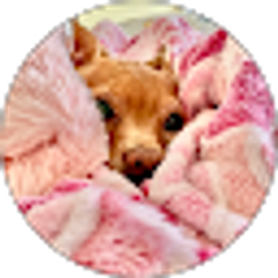 Profile photo of Maleah Reading