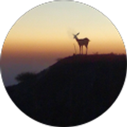 Profile photo of Melissa Violet