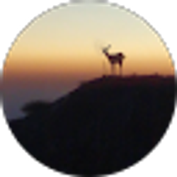 Profile photo of Melissa Violet