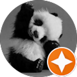 Profile photo of Sawyers