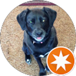 Profile photo of Gary Shireman