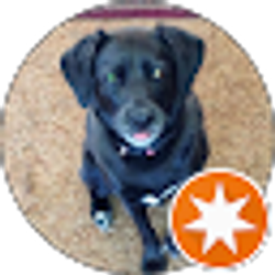 Profile photo of Gary Shireman