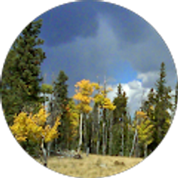 Profile photo of Dan Hinton