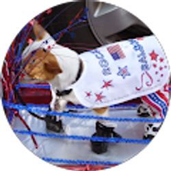 Profile photo of Linda Lobb