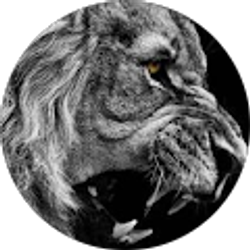 Profile photo of Velislav Danailov