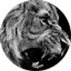 Profile photo of Velislav Danailov