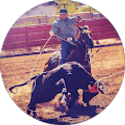 Profile photo of Andrew Guzman