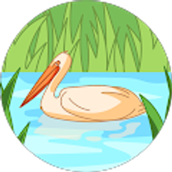 Profile photo of Ken Shallenberger