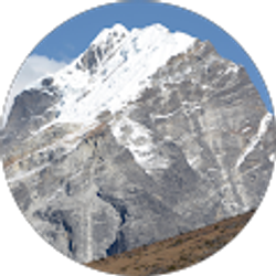 Profile photo of Theo Reitwiesner