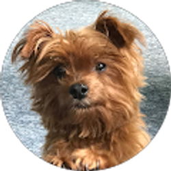 Profile photo of John Erickson