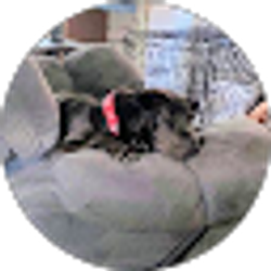Profile photo of Karen Heilemann