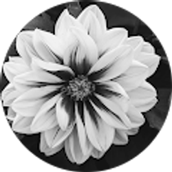 Profile photo of James Bowen