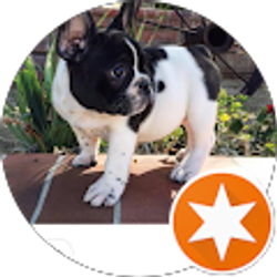 Profile photo of David