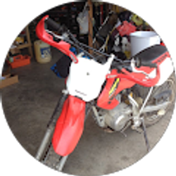 Profile photo of Bucky 255