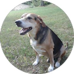 Profile photo of Will Myers