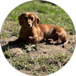 Profile photo of Aka.J0