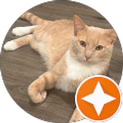 Profile photo of CallMeMimi