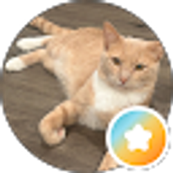 Profile photo of CallMeMimi