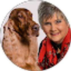 Profile photo of Jana Proffitt Davis
