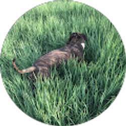 Profile photo of Carla