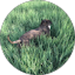 Profile photo of Carla