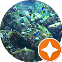 Profile photo of Ammal Machnouk