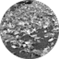 Profile photo of Stephen