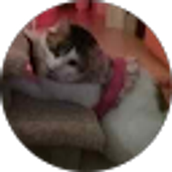 Profile photo of Catherine Calderon