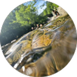 Profile photo of Brandon Bentley