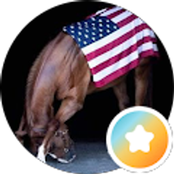 Profile photo of Anessa Mogan