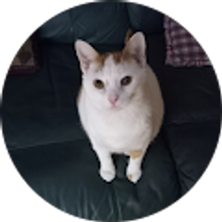 Profile photo of Thomas Aulisio