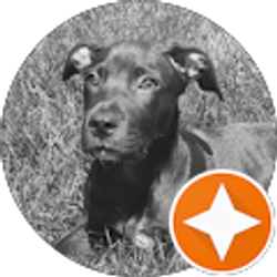 Profile photo of Claude Erlewein