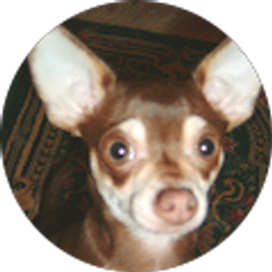 Profile photo of Sandra Hood