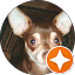 Profile photo of Sandra Hood