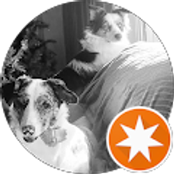 Profile photo of Jamie Paris