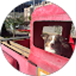 Profile photo of juan camacho