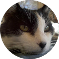 Profile photo of Ed Jameyson