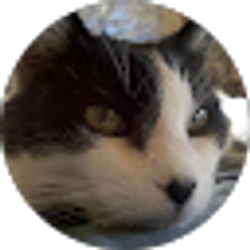 Profile photo of Ed Jameyson