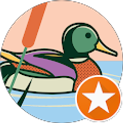 Profile photo of Chase Backes