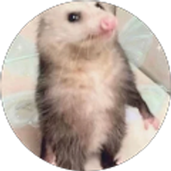 Profile photo of olivia clarke