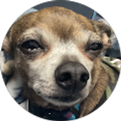 Profile photo of Debra Hatton