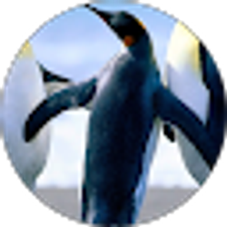 Profile photo of luis jimenez