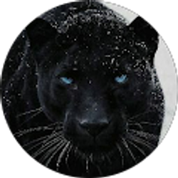 Profile photo of Stephanie A.