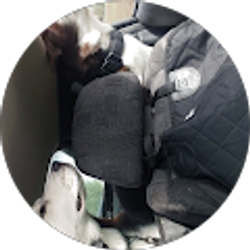 Profile photo of Mason Smith